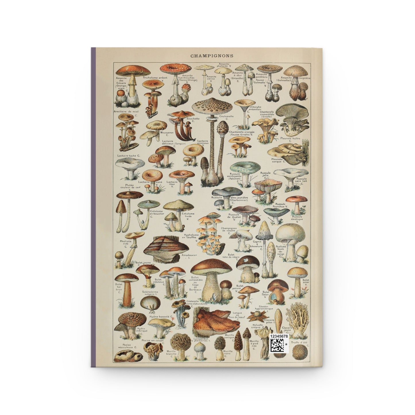 Vintage Mushroom Journal
