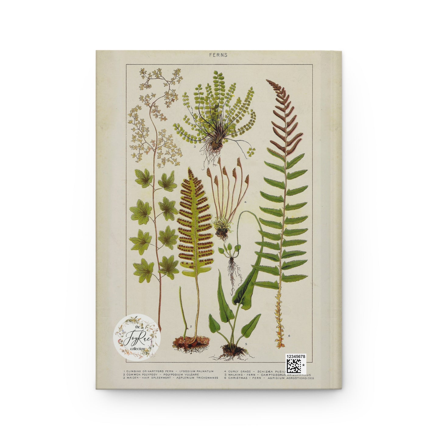 Fern Journal, Botanical Notebook, Nature Diary, Greenery Planner, Plant Lover Gift, Hardcover Journal