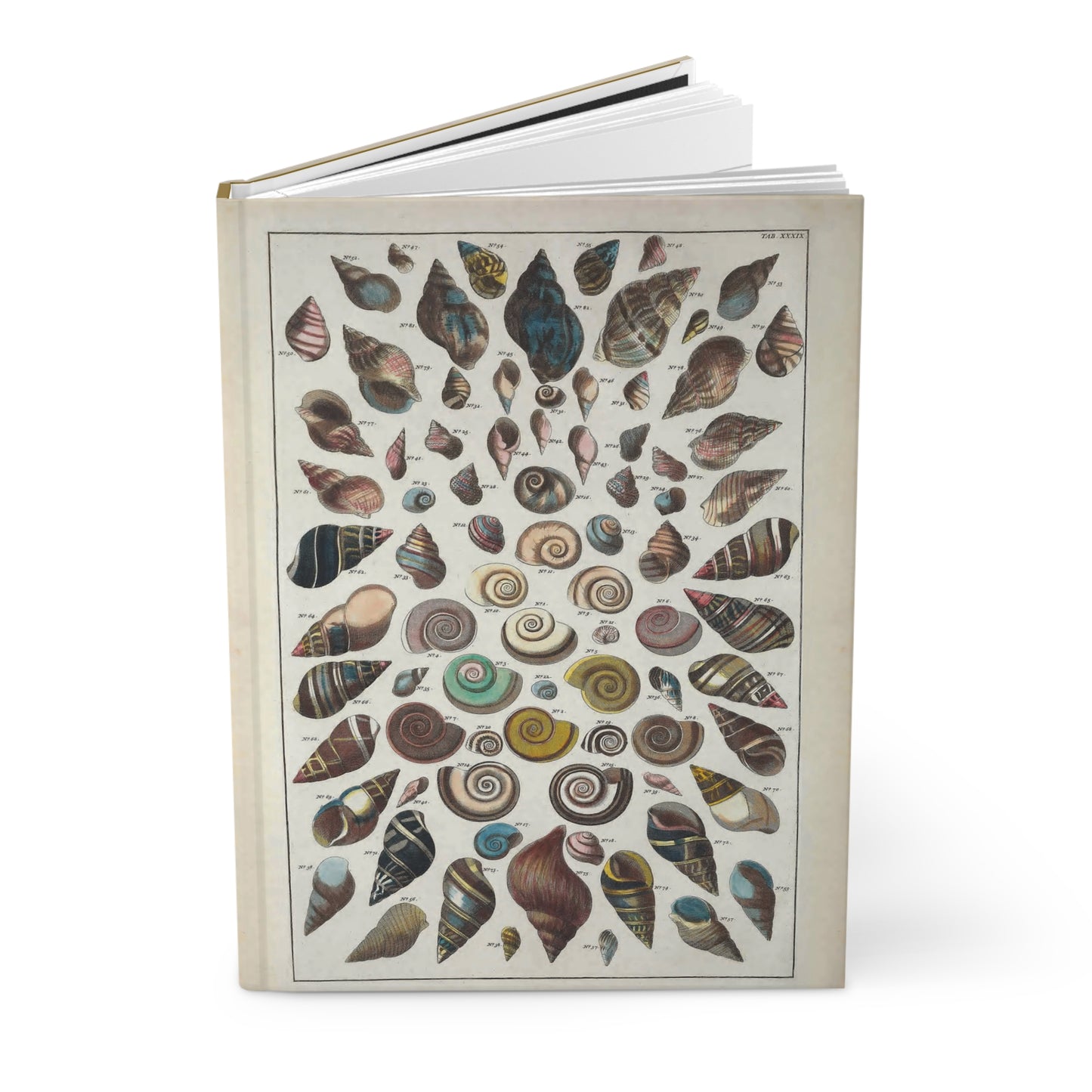 Sea Shell Journal