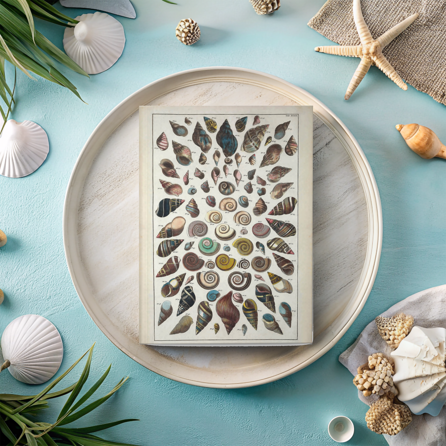 Sea Shell Journal