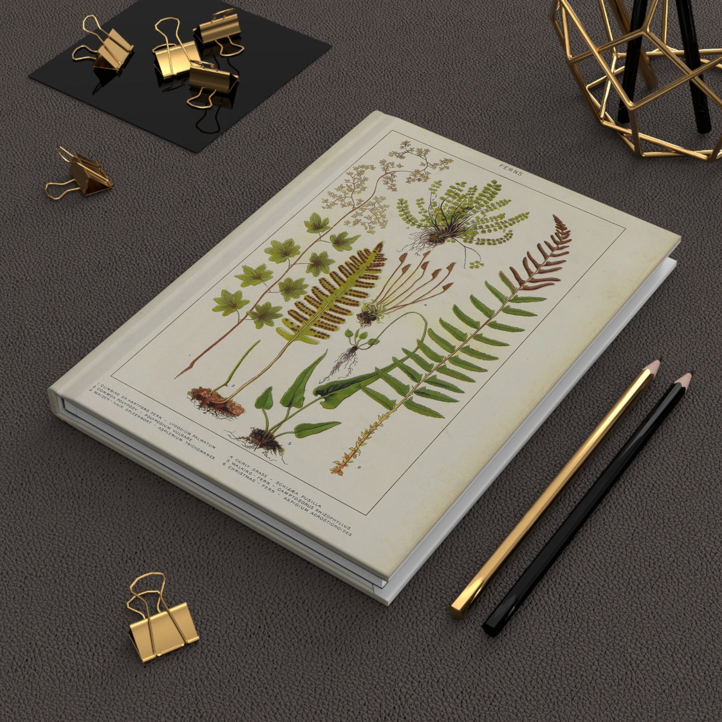 Fern Journal, Botanical Notebook, Nature Diary, Greenery Planner, Plant Lover Gift, Hardcover Journal