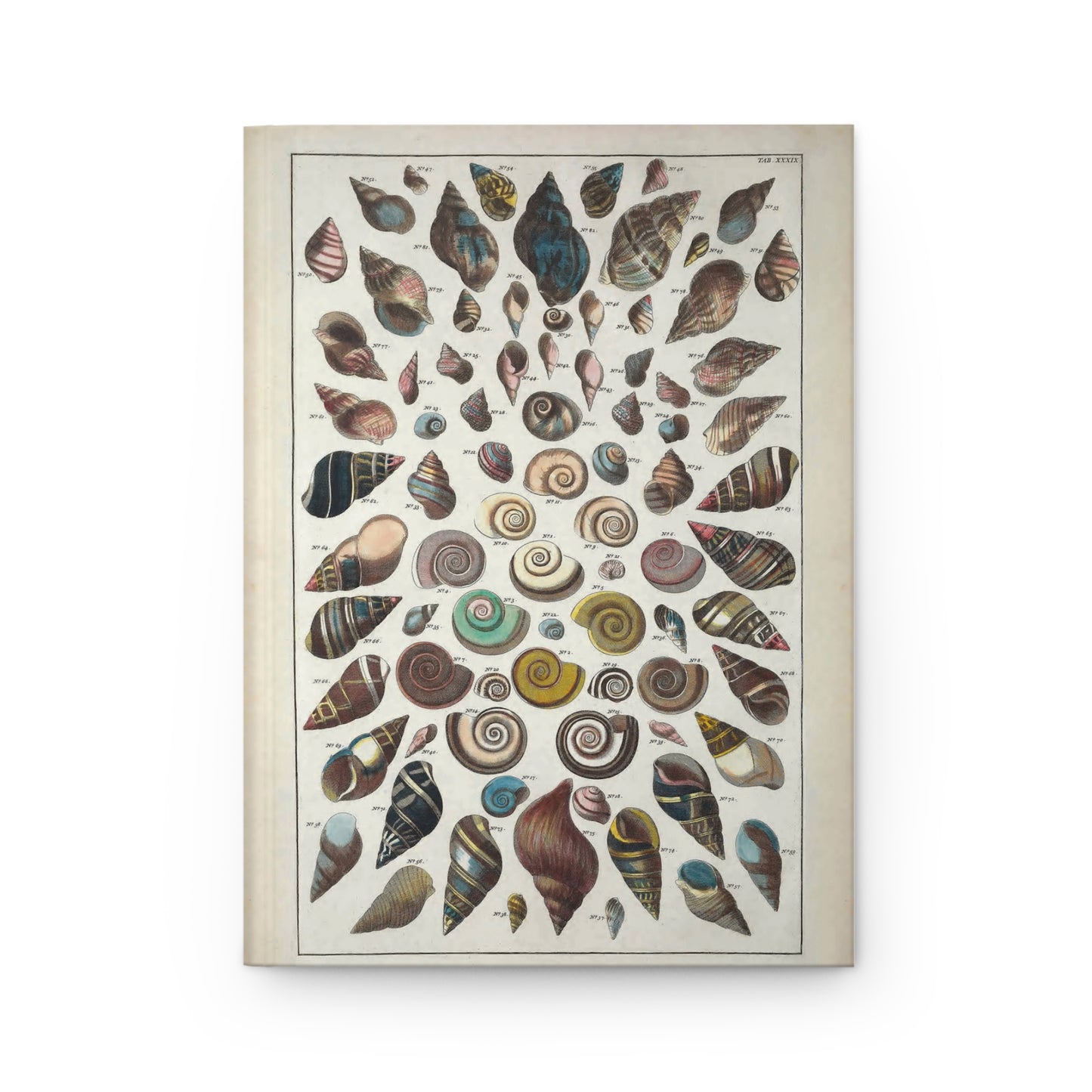 Sea Shell Journal