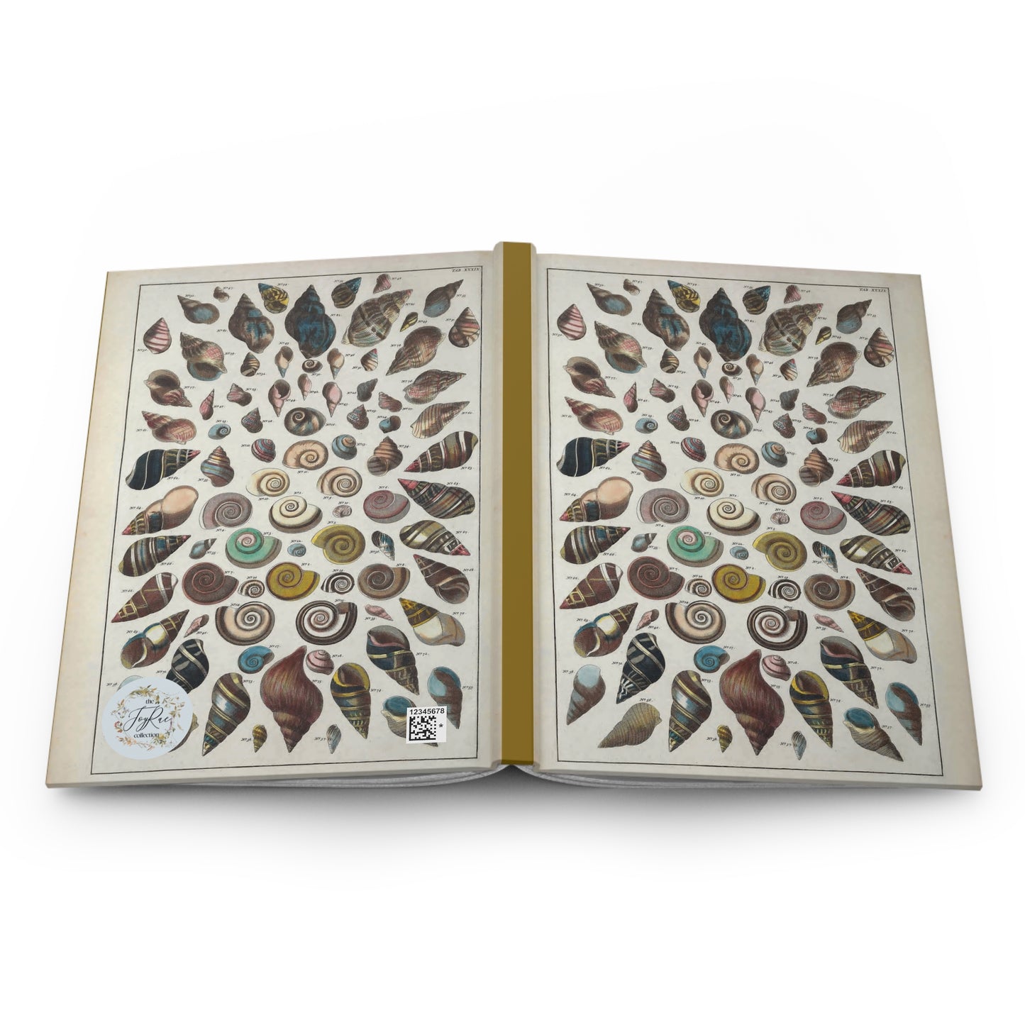 Sea Shell Journal