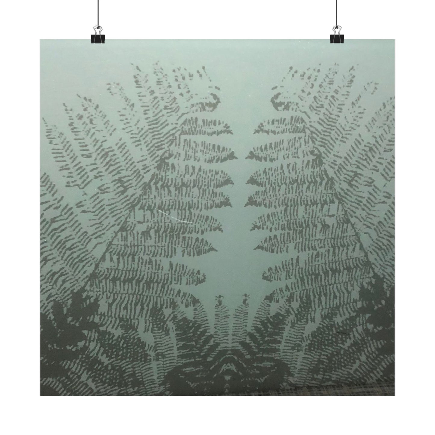 Fern Study Poster