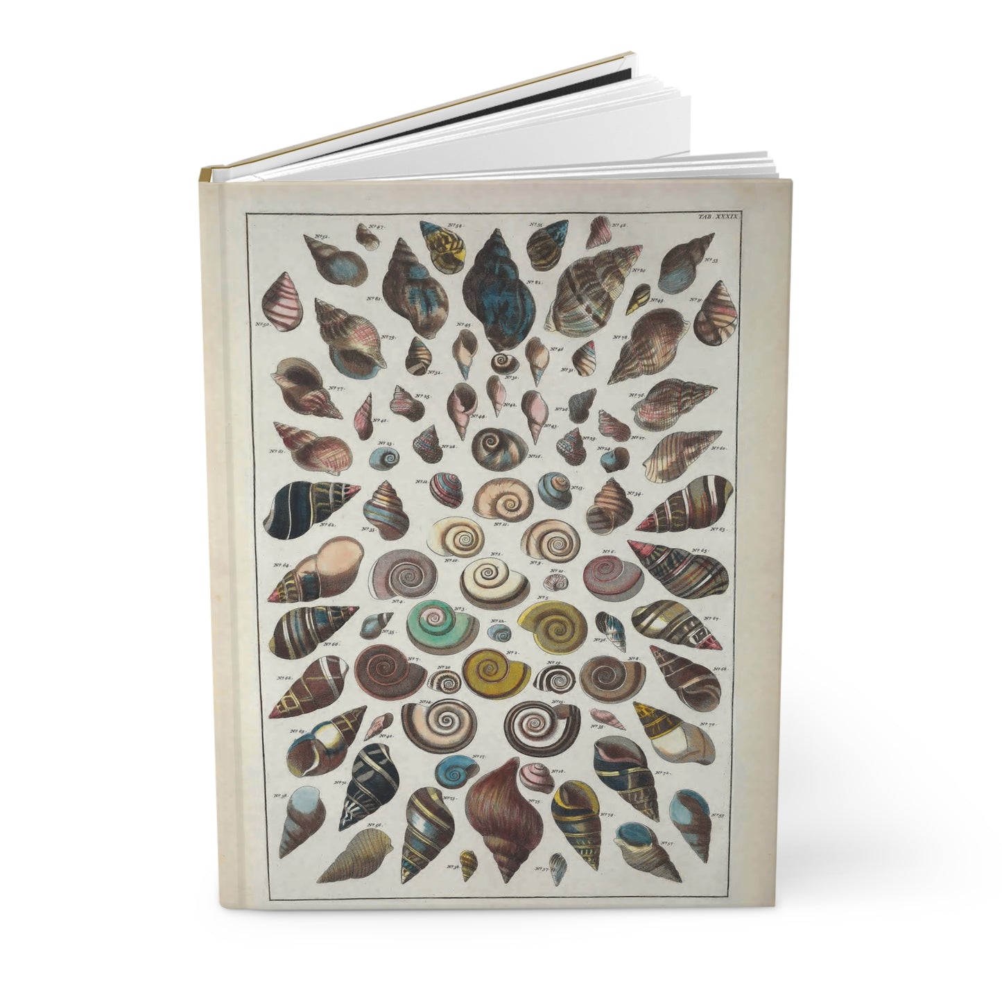 Shell Hardcover Journal Matte