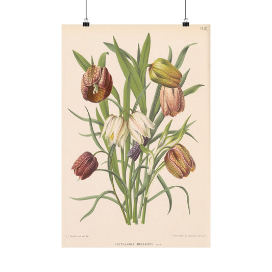 Vintage Tulip Wall Art Posters, Matte Floral Prints, Botanical Home Decor, Vertical Poster Set