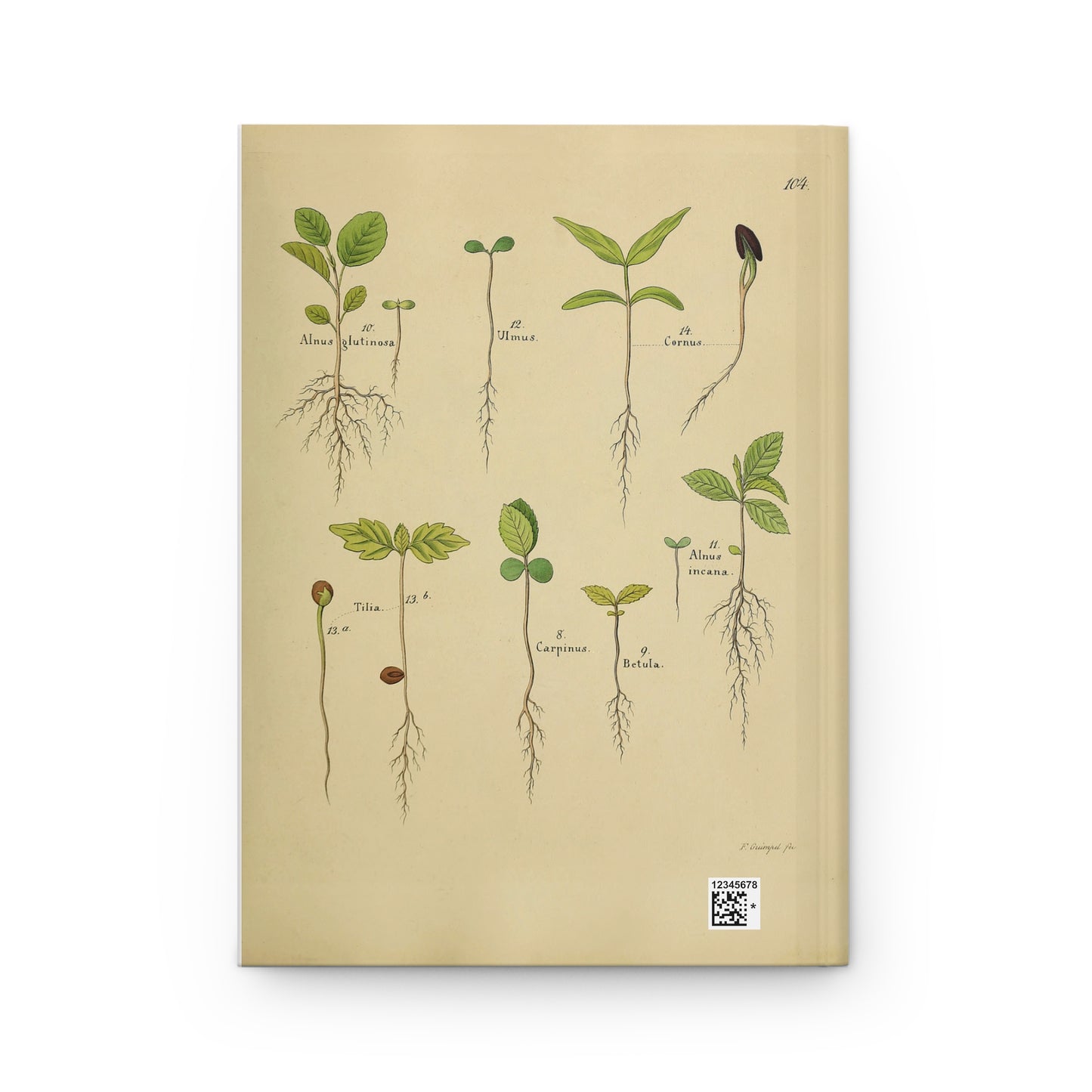 Green seedling Hardcover Journal Matte