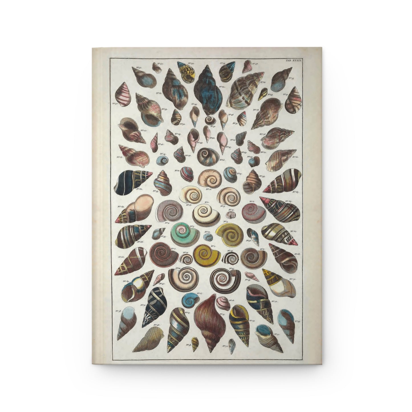 Shell Hardcover Journal Matte