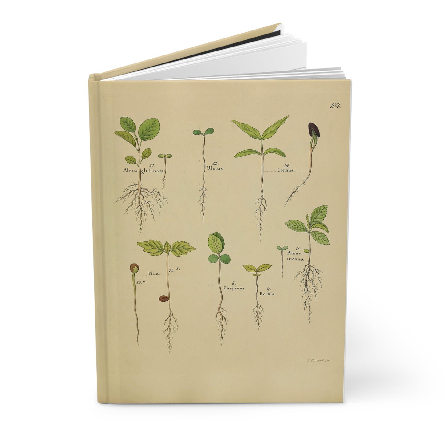 Green seedling Hardcover Journal Matte