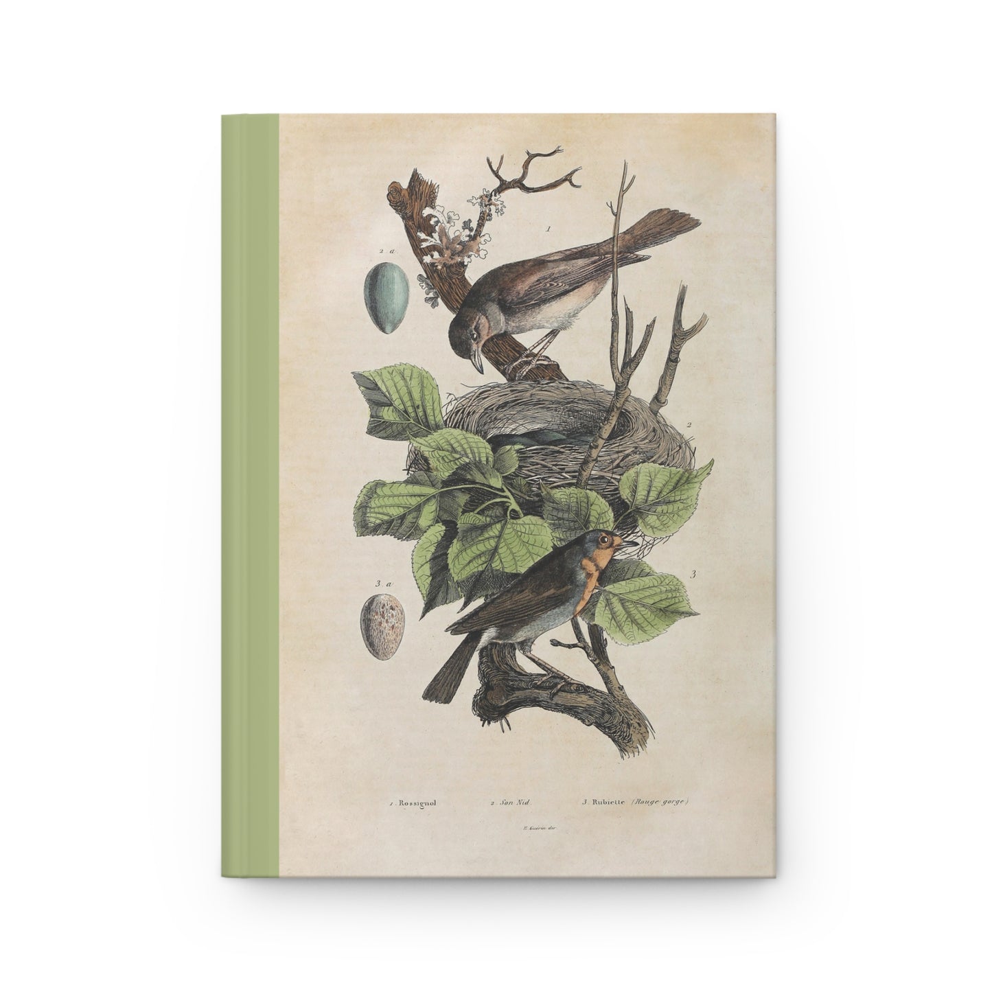 Birds and their nest Hardcover Journal Matte