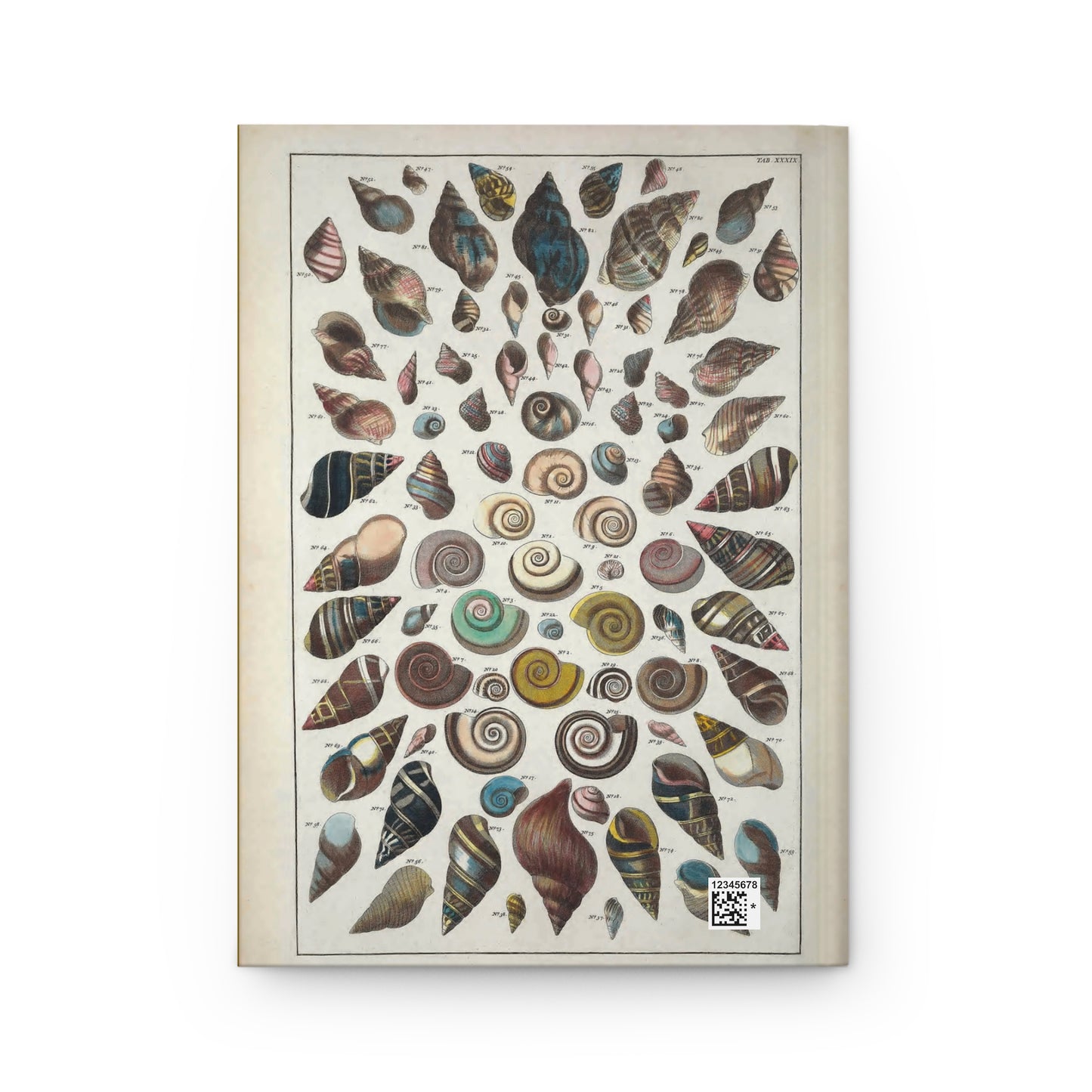 Shell Hardcover Journal Matte