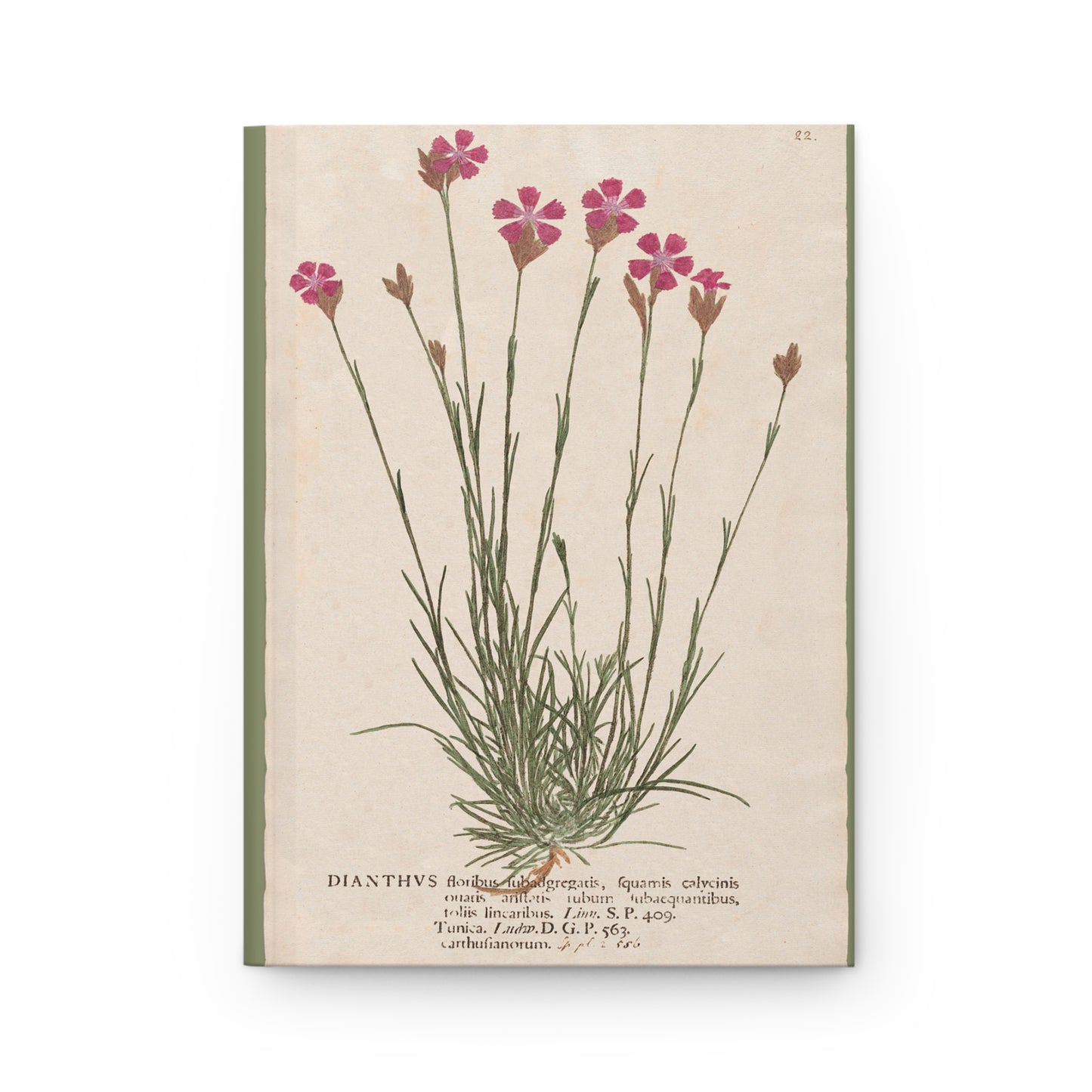 Botanical Dianthus Flower Hardcover Journal Matte - Vintage Botany Plate Gift, Notebooks, Sketchbook, Writing Journal, Stationery Set,