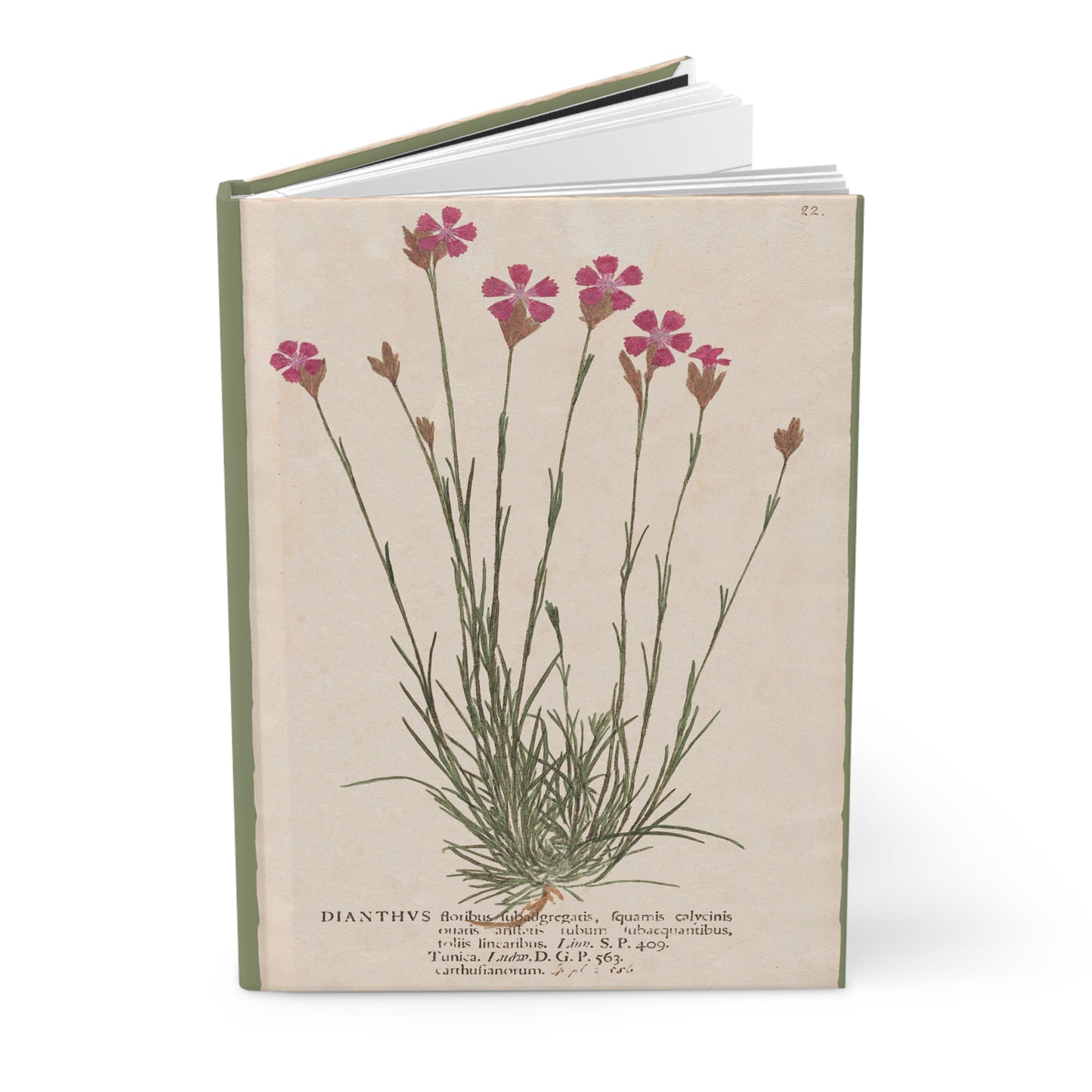 Botanical Dianthus Flower Hardcover Journal Matte - Vintage Botany Plate Gift, Notebooks, Sketchbook, Writing Journal, Stationery Set,